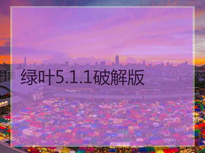 绿叶5.1.1破解版