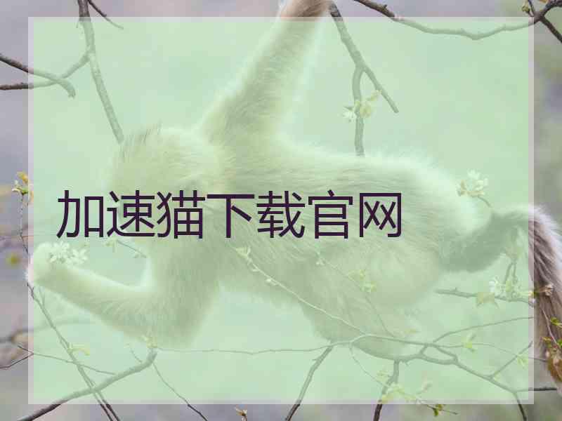 加速猫下载官网