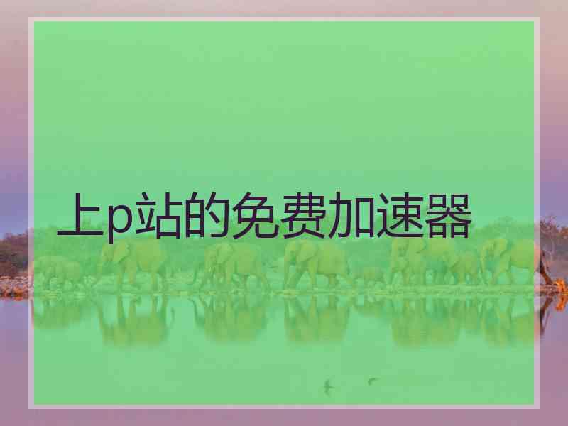 上p站的免费加速器