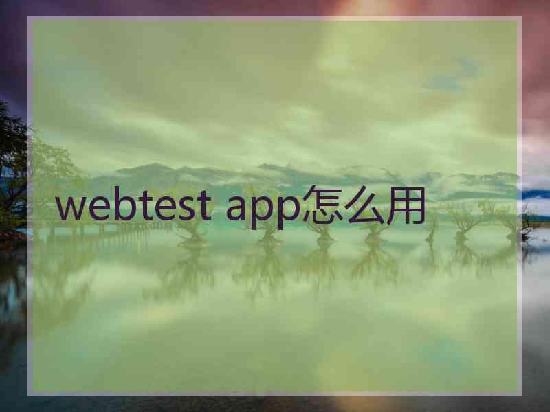 webtest app怎么用