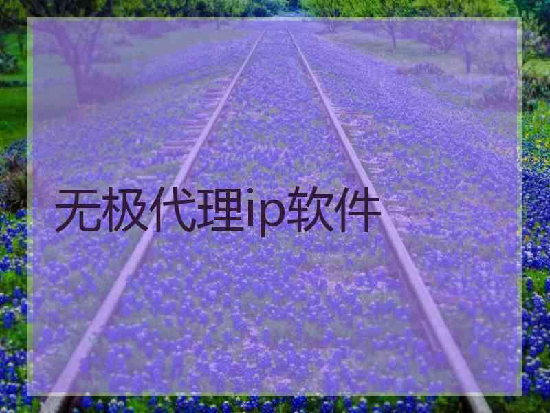无极代理ip软件