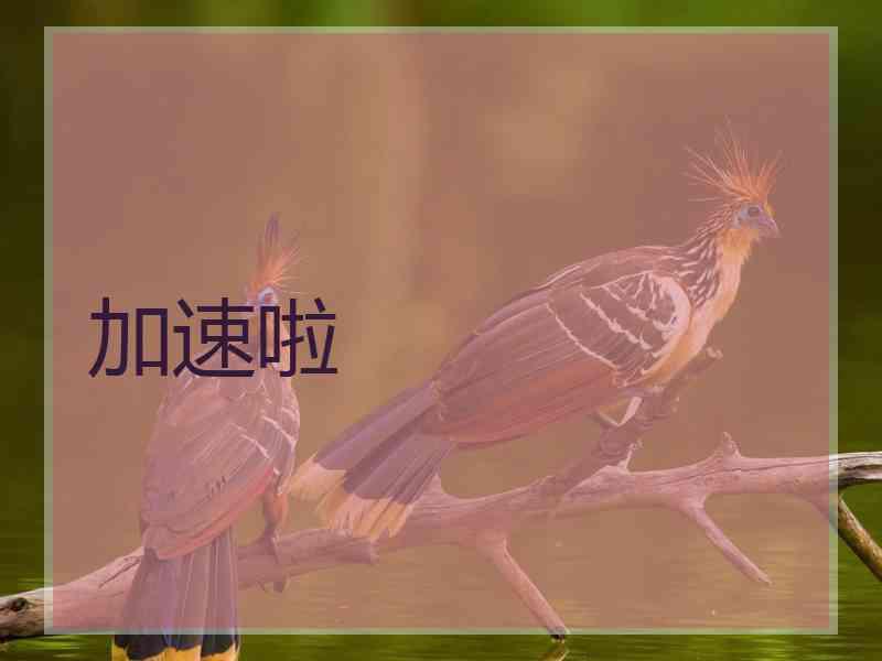 加速啦