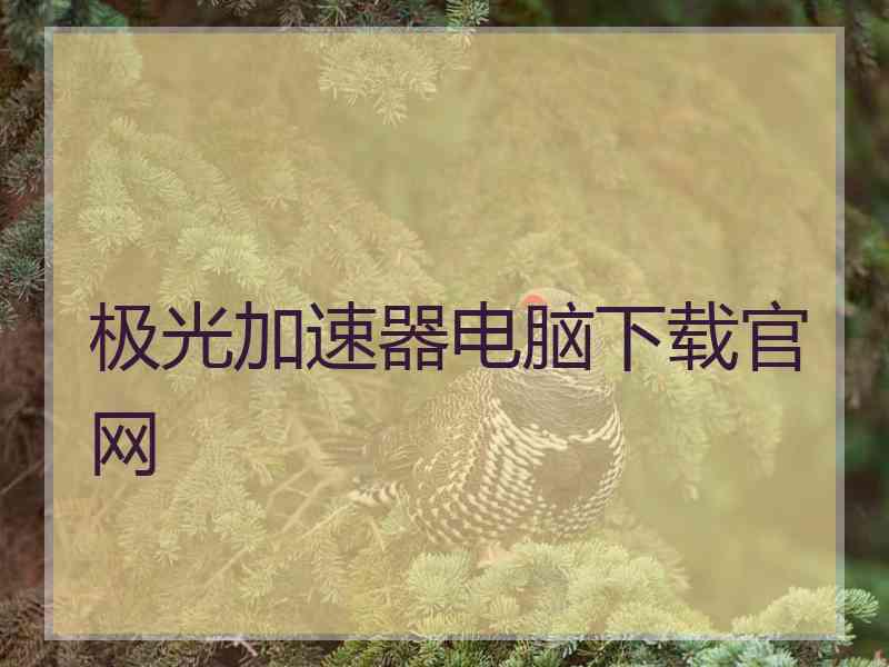 极光加速器电脑下载官网