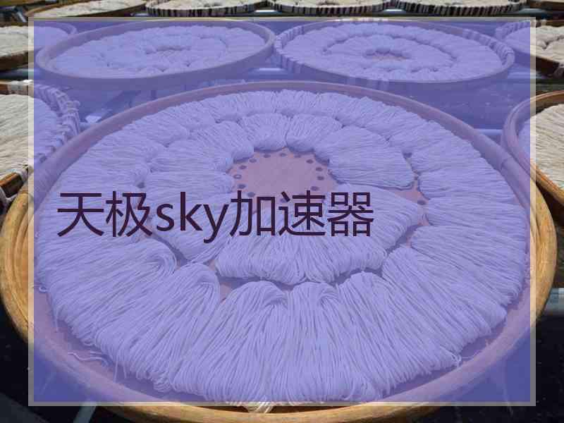 天极sky加速器