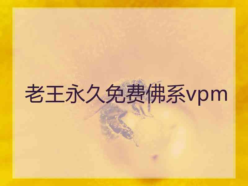 老王永久免费佛系vpm