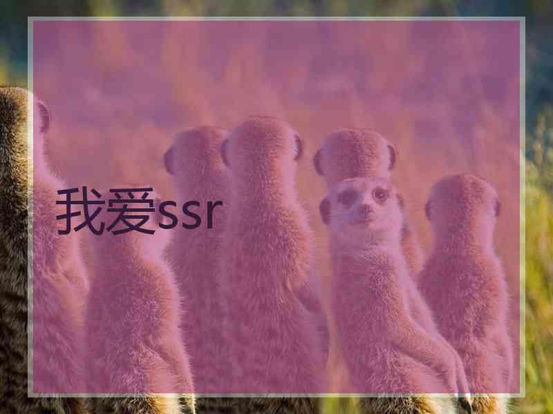 我爱ssr