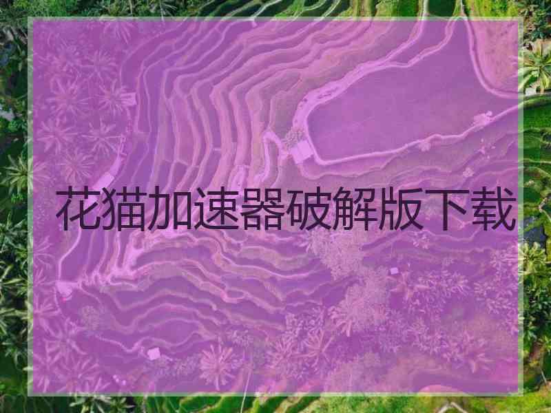 花猫加速器破解版下载