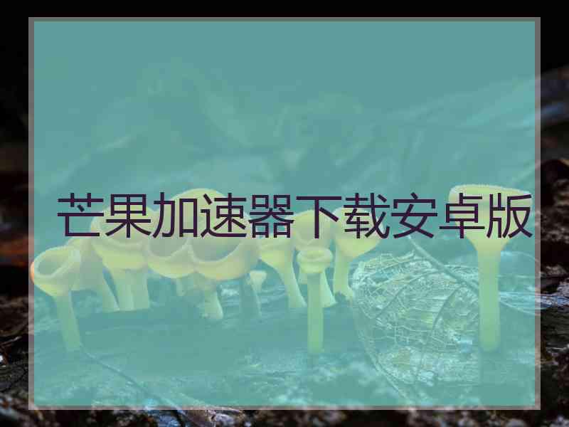 芒果加速器下载安卓版