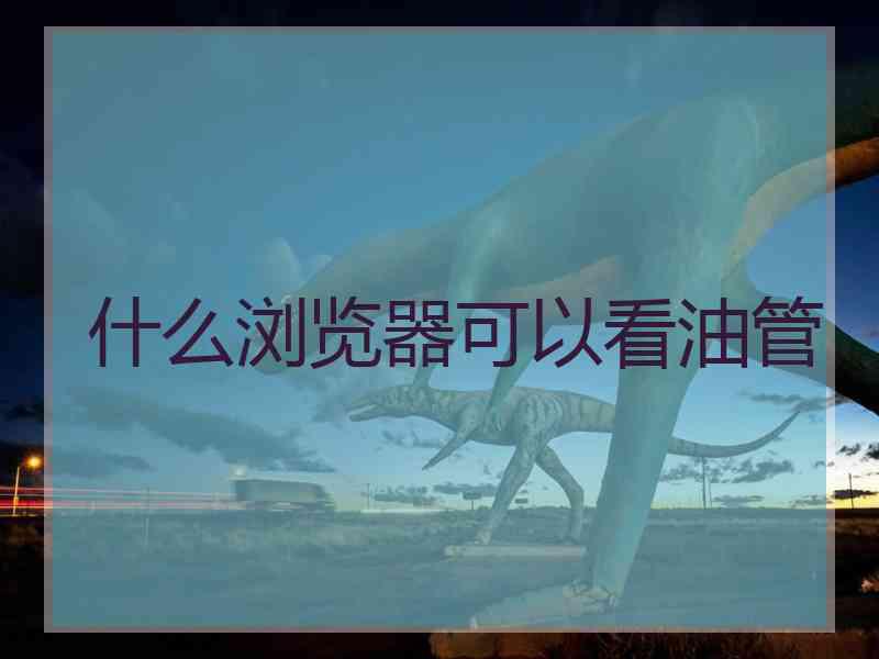 什么浏览器可以看油管