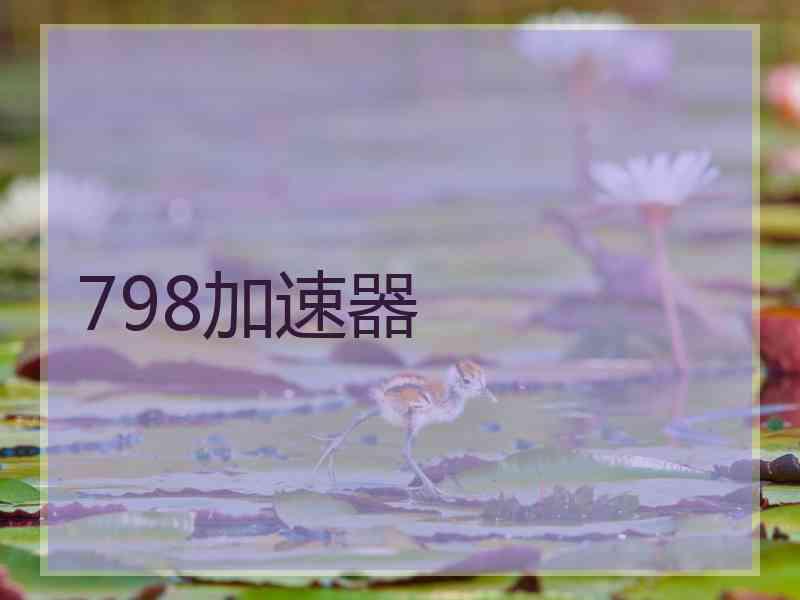 798加速器
