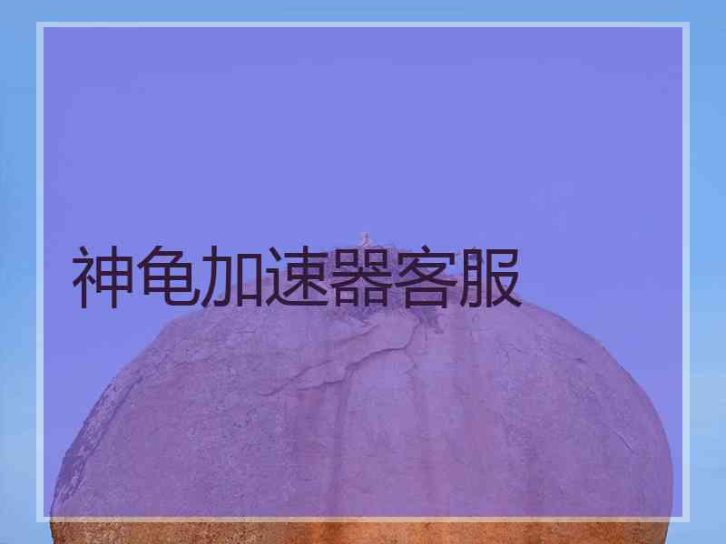 神龟加速器客服