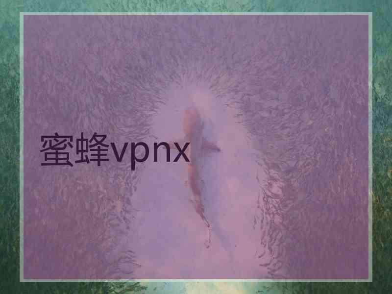 蜜蜂vpnx