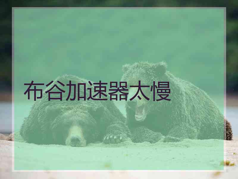 布谷加速器太慢