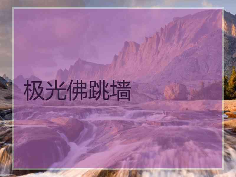 极光佛跳墙
