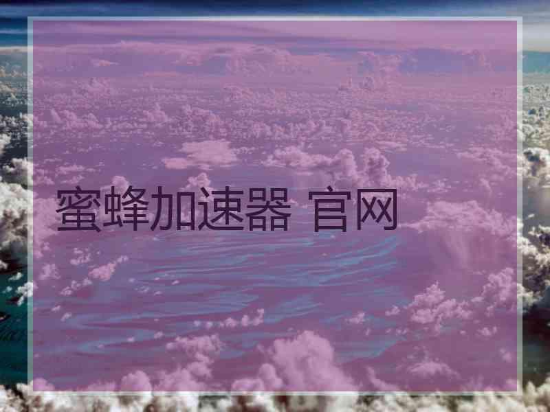 蜜蜂加速器 官网