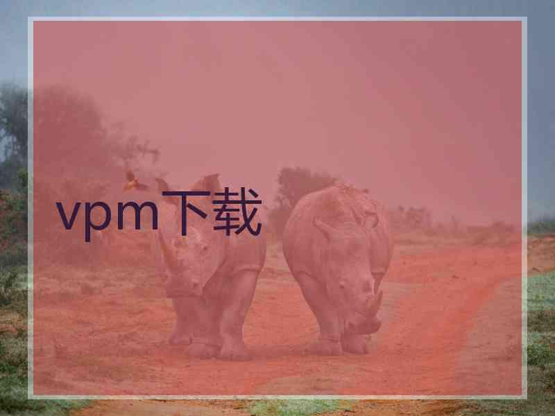 vpm下载