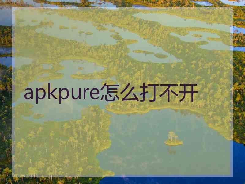 apkpure怎么打不开
