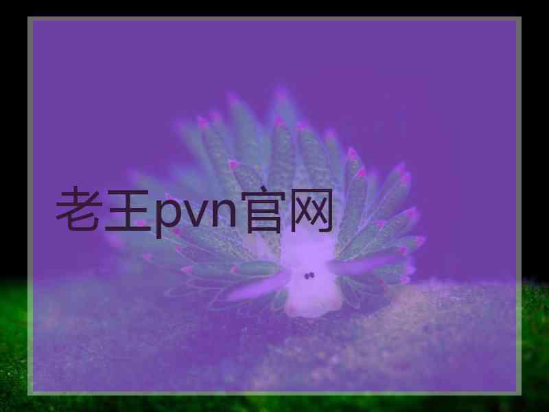 老王pvn官网