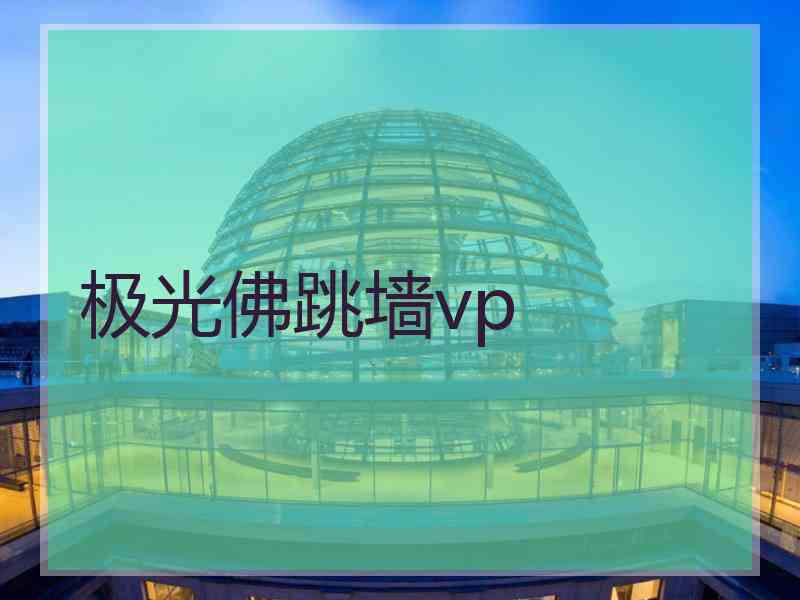 极光佛跳墙vp