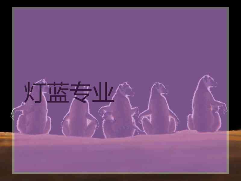 灯蓝专业