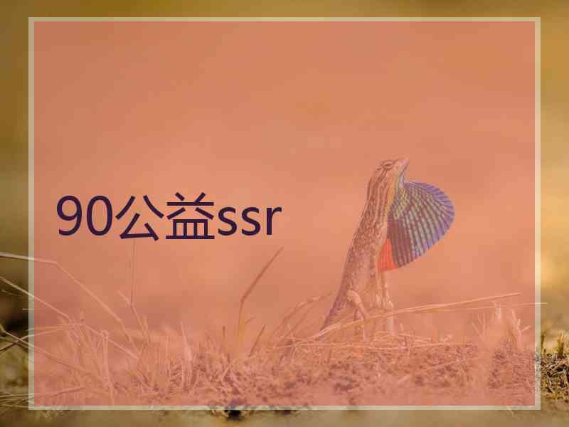 90公益ssr
