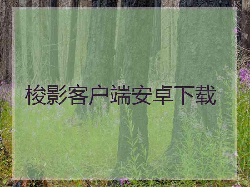 梭影客户端安卓下载