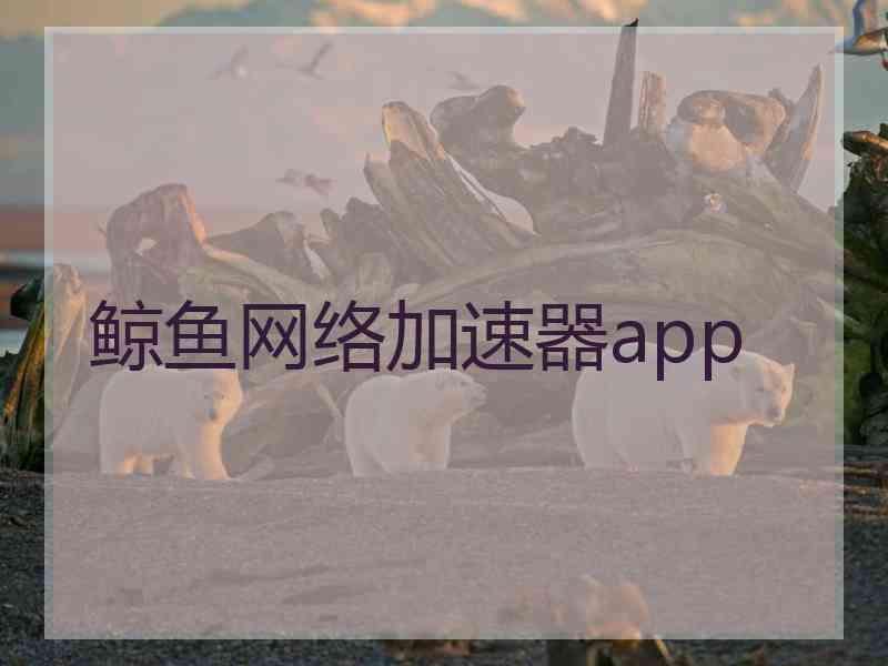 鲸鱼网络加速器app