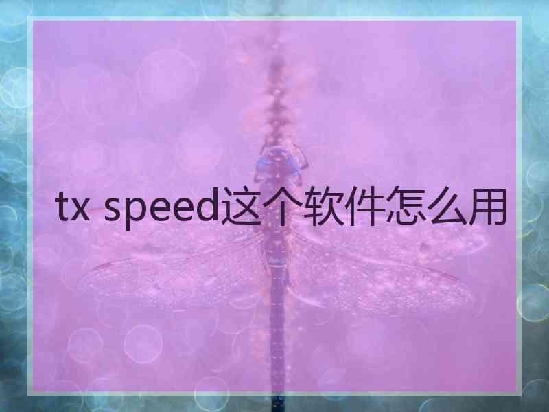 tx speed这个软件怎么用