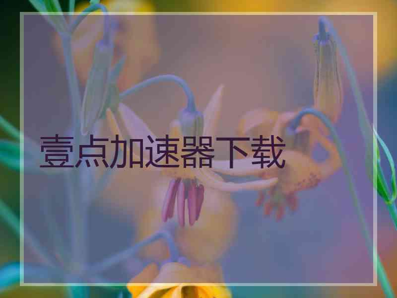 壹点加速器下载