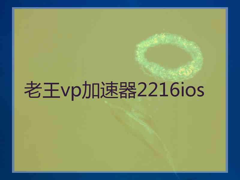 老王vp加速器2216ios