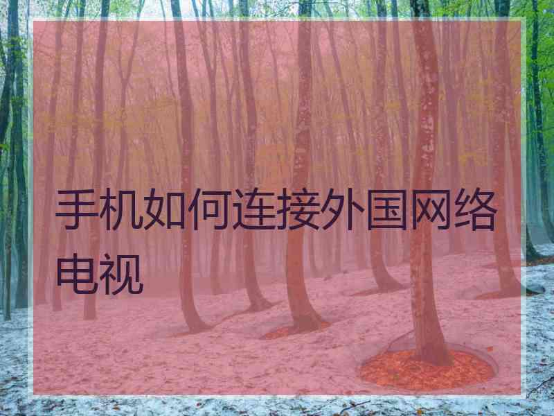 手机如何连接外国网络电视