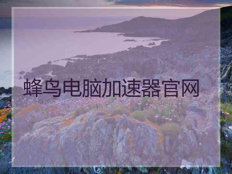 蜂鸟电脑加速器官网