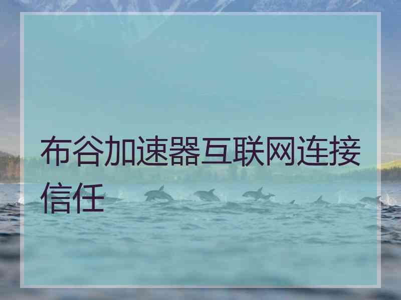 布谷加速器互联网连接信任