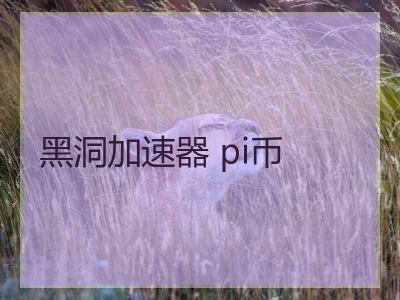 黑洞加速器 pi币