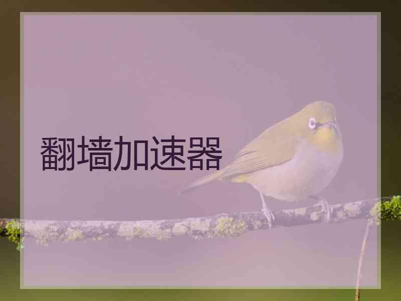 翻墙加速器