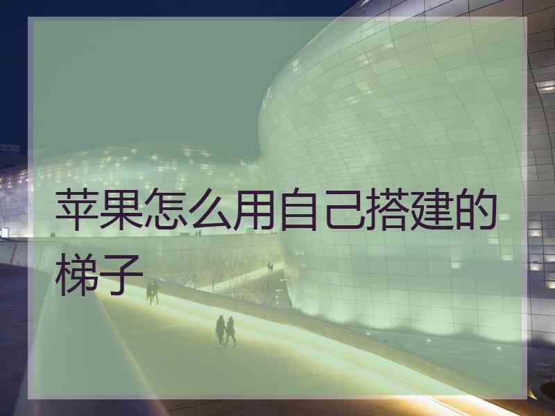 苹果怎么用自己搭建的梯子