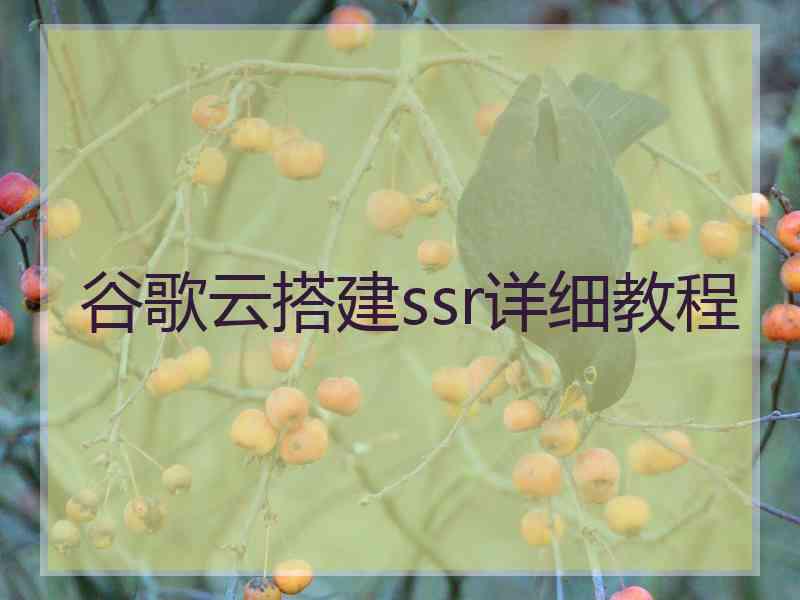 谷歌云搭建ssr详细教程