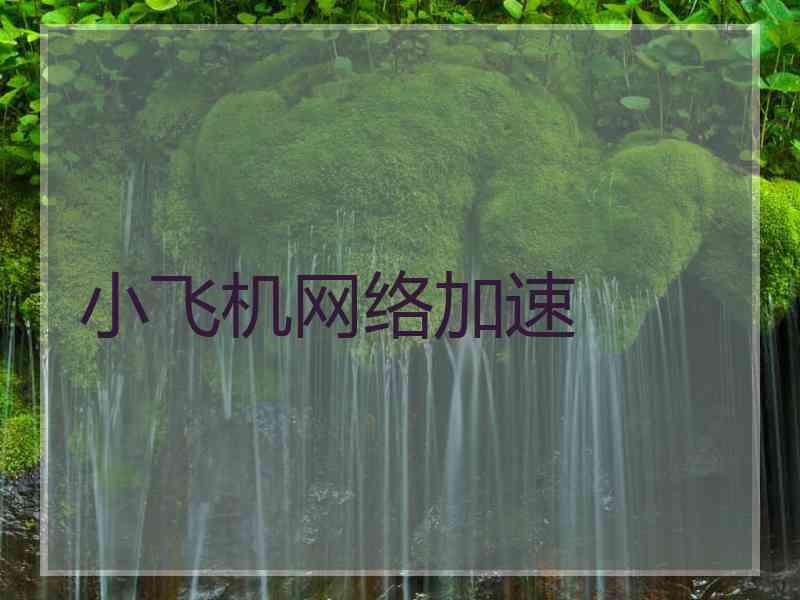 小飞机网络加速