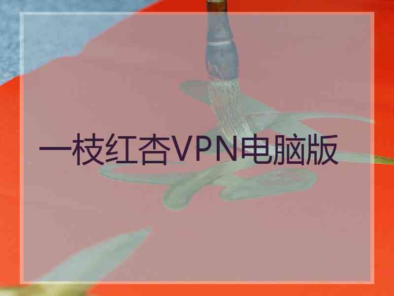 一枝红杏VPN电脑版