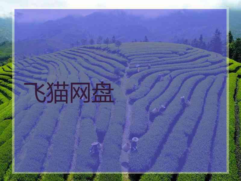 飞猫网盘