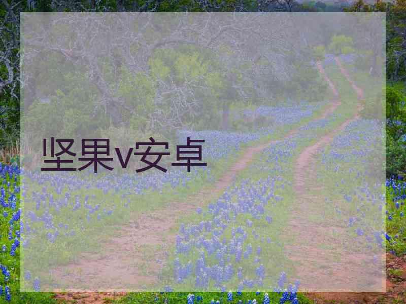 坚果v安卓