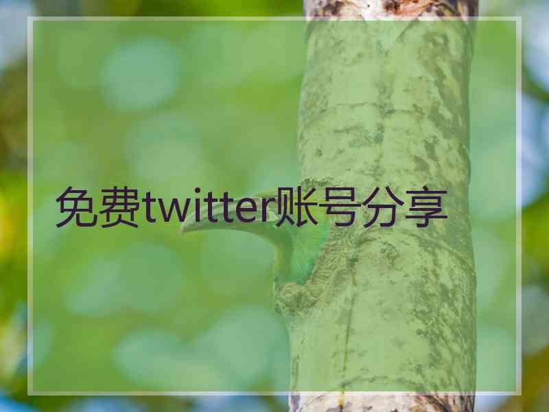 免费twitter账号分享