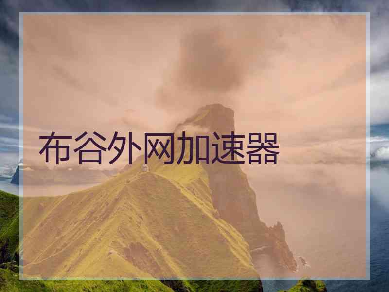 布谷外网加速器