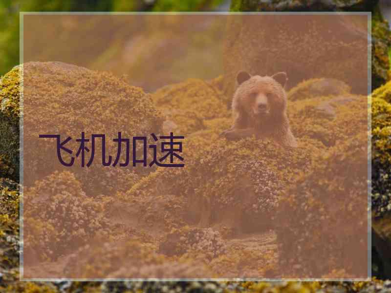 飞机加速