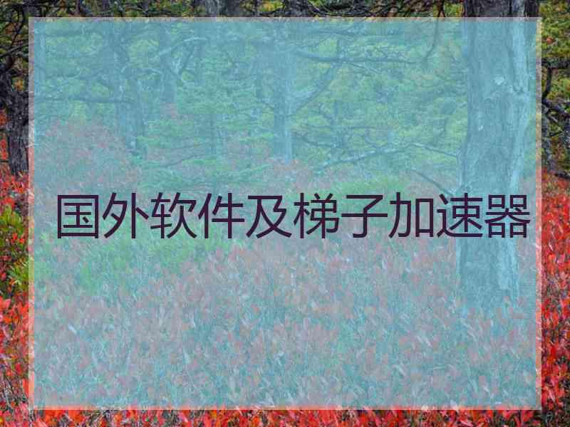 国外软件及梯子加速器