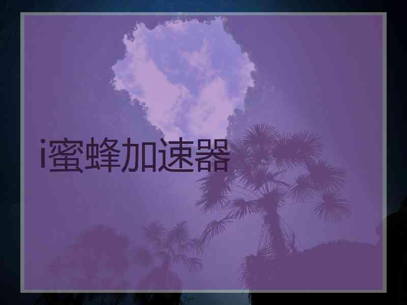 i蜜蜂加速器