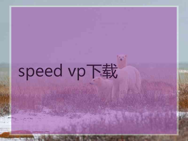 speed vp下载
