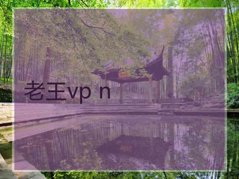 老王vp n