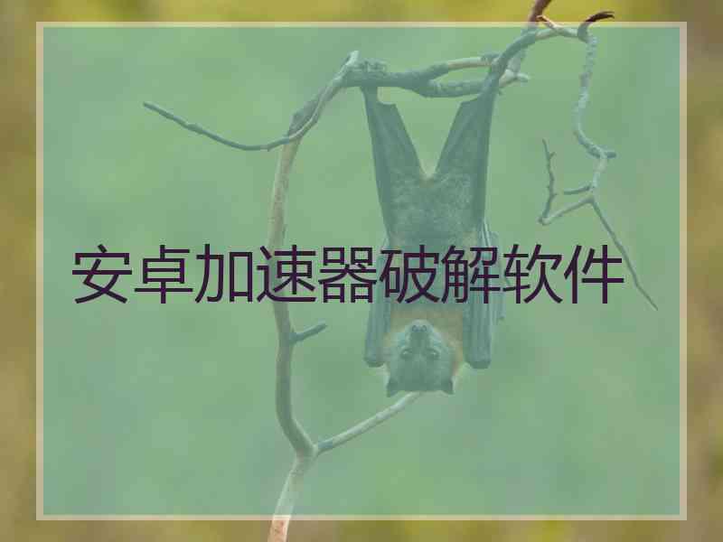 安卓加速器破解软件