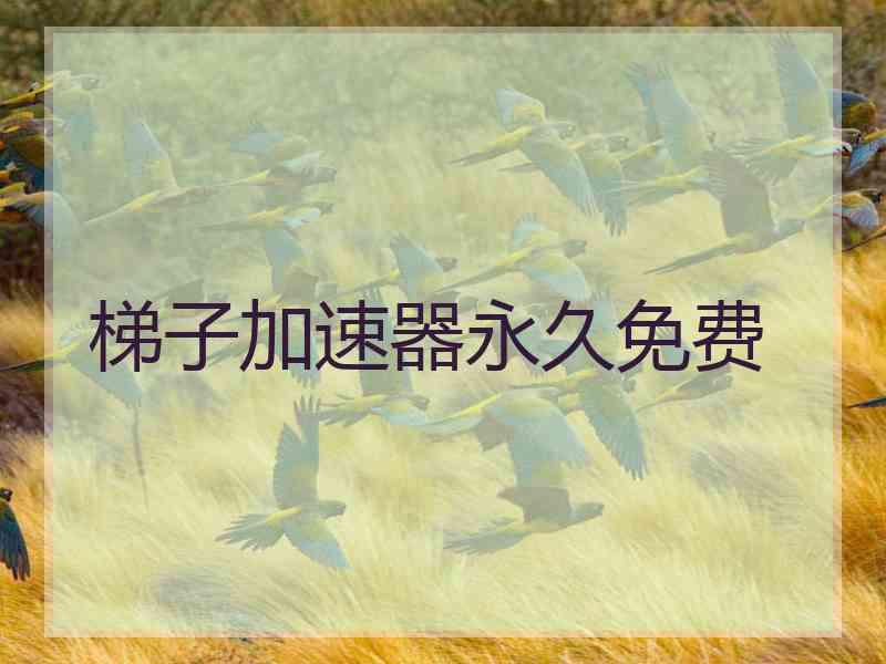 梯子加速器永久免费